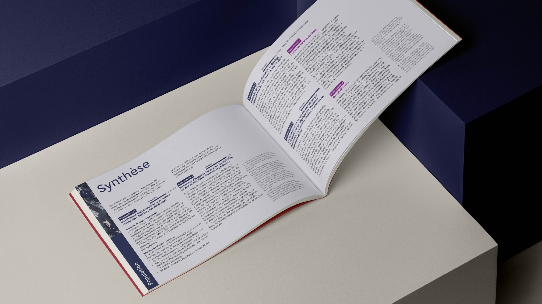 double page du rapport vigie, chapitre population