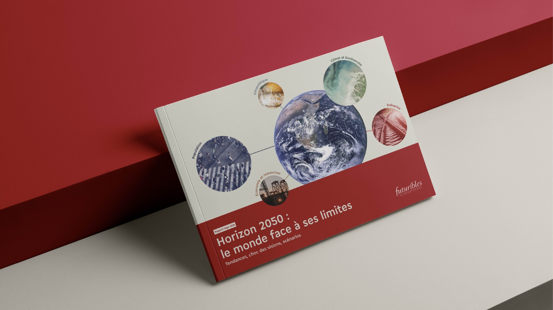 couverture du rapport Vigie