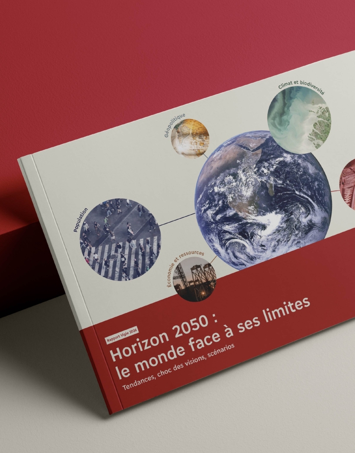 couverture du rapport Vigie